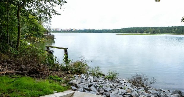 Přečištěná říční voda poteče přímo do Velkého Boleveckého rybníka.