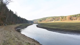 Boj se suchem v Česku pokračuje, řadu opatření chystají ministerstva zahraničí i životního prostředí.
