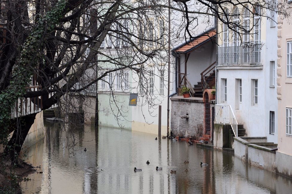 V Praze je 1. stupeň povodňové aktivity. Takhle vypadá Čertovka