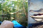 Vodáka na řece napadl aligátor: Útok natočila kamera!