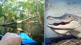 Vodáka na řece napadl aligátor: Útok natočila kamera! 