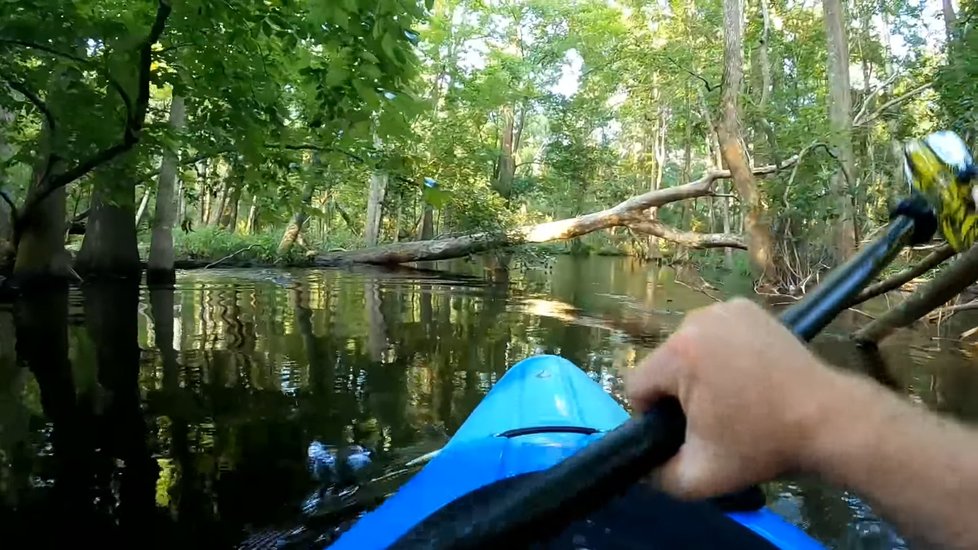Vodáka na řece napadl aligátor: Útok natočila kamera!