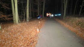 Mladý řidič vyletěl ze silnice mezi stromy. Na místě zemřel