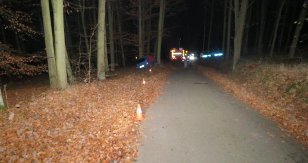 Noční smrt v lese u Vodňan: Mladý řidič (†21) vyletěl mezi stromy. Nepřežil, dívka je zraněná
