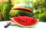 Kupujeme meloun: Jak poznat, že je zralý a sladký