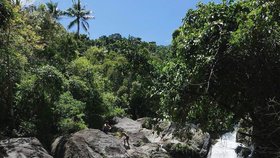 Dvaatřicetiletý český turista přišel o život na thajském prázdninovém ostrově Samui. Při fotografování se zřítil ze srázu u vodopádu, kam je zakázaný přístup.