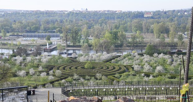 Vodovodní potrubí vede přímo z Vltavy přes zámecké zahrady, vinici sv. Kláry rovnou do areálu botanické zahrady. 