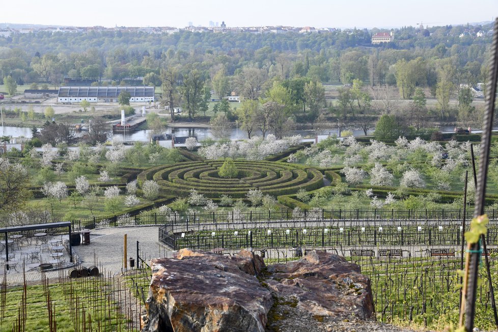 Vodovodní potrubí vede přímo z Vltavy přes zámecké zahrady, vinici sv. Kláry rovnou do areálu botanické zahrady.