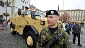 Ukázky armádních obrněných vozidel byly 27. října součástí slavnostní vojenské přísahy ve Vyškově. Na snímku je obrněné vozidlo Dingo.