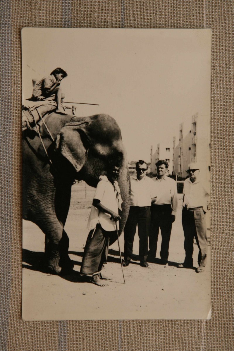 První setkání se živým slonem v Indii. Štěpán Vadják první zprava.
