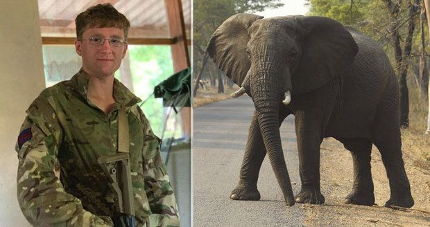 Mladík (†23) odjel do Afriky bojovat s pytláky: Udupal ho splašený slon!