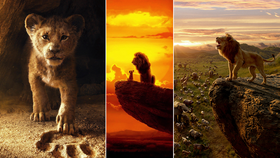 Co také překládal Vojtěch Kostiha: Snímek Lví král od studia Disney, jenž režíroval Jon Favreau (Kniha džunglí), se odehrává v africké savaně, kde se narodil budoucí panovník všeho živého. Malý lví princ Simba zbožňuje svého otce, lvího krále Mufasu, a připravuje se na svou budoucí vládu.