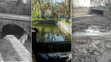 Dřív se tu plavili koně a dováděly husy. Nyní dostane Vokovický rybník nový háv