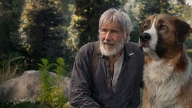 Volání divočiny: Film s Harrisonem Fordem podle legendární knížky!