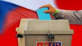 Měla by se Česká republika inspirovat sousedy a umožnit korespondenční hlasování?