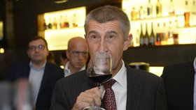 Ve štábu ANO zavládla po volbách euforie. Teď jí ale Andrej Babiš krotí. Z devíti vítězství budou zřejmě jen 4 hejtmani.