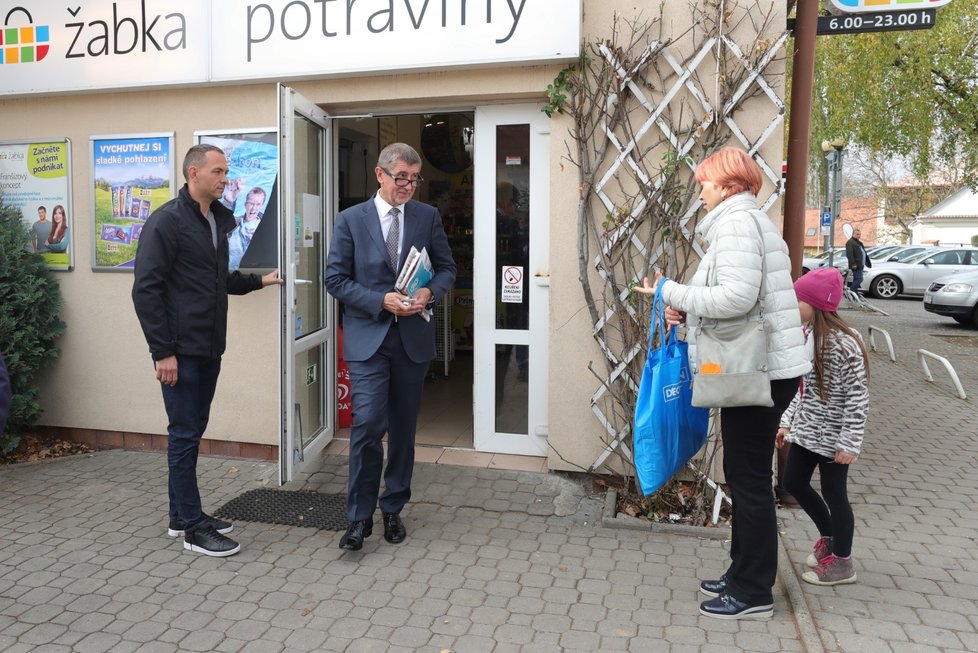 Andrej Babiš u voleb do Parlamentu České republiky