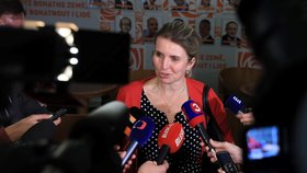 Jana Fialová, místopředsedkyně ČSSD, dorazila do štábu chvíli po Janu Hamáčkovi