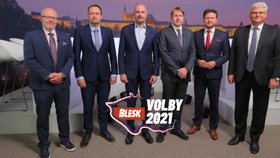 Předvolební debata Blesku: Hádka o 30 tisíc mrtvých na covid, uznávání protilátek i očkovací strategii