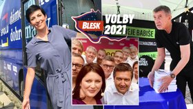 Volby 2021 v kostce: Rodičovská až 400 tisíc, zdanění boháčů i zrovnoprávnění gayů?