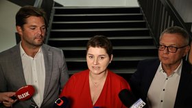 Volební Štáb hnutí Stačilo! v Ostravě: Vedení SOCDEM po prohře (4.10.2025)