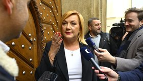 Jednání ANO, SPD a Motoristů o programu: Alena Schillerová (15.10.2025)