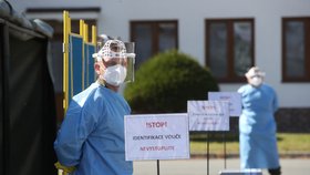 Volby v roce 2020: Koronavirus ovlivní i způsob, jakým budou lidé volit