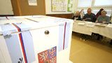 Zeman rozhodl o termínu podzimních voleb. Uskuteční se 5. a 6. října