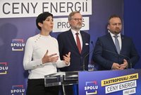 Koalice Spolu zakončila kampaň a vyzvala k volbě demokratických kandidátů. Děláme vše, řekl Fiala