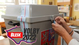 Komunální volby 2022: Průvodce výběrem nových starostů