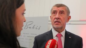 Prezidentské volby 2023: Andrej Babiš. (14. 1. 2023)