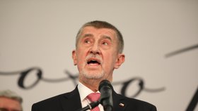 Andrej Babiš po prohře ve 2. kole prezidentských voleb