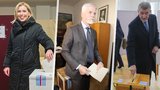 Kandidáti u voleb: Babiš v Průhonicích, Nerudová v Kuřimi, Pavel v obci Černouček
