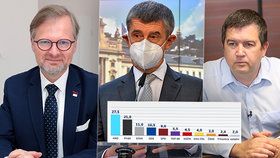 Volební průzkum: Babiš posiluje, Piráti překvapují, ČSSD strmě padá a ODS nemá alfasamce