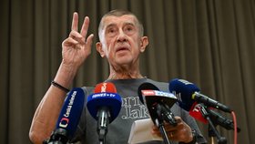 Tisková konference Andreje Babiše po prohře v senátních volbách.
