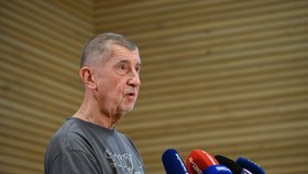Tisková konference Andreje Babiše po prohře v senátních volbách.