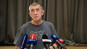Tisková konference Andreje Babiše po prohře v senátních volbách.
