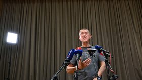 Tisková konference Andreje Babiše po prohře v senátních volbách