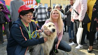 Do Senátu to nevyšlo. Babiš se tak pokusí Nagyovou uklidit na Hrad jako prezidentku