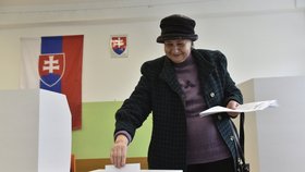 Parlamentní volby se konaly 5. března na Slovensku. Na snímku volební místnost v Bratislavě.