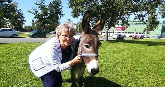 Exposlankyně ANO Margita Balaštíková