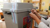 Kdy budou v Česku další volby? Tohle jsou termíny voleb do roku 2035