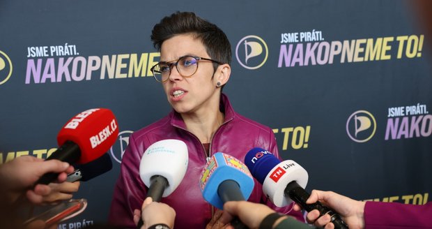 ANO nenabídlo Pirátům vedení žádného výboru. „Koalice Čapího a Orlího hnízda,“ rýpla si Richterová