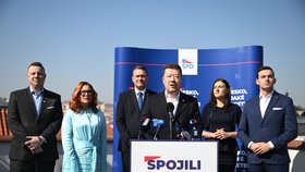 Zástupci SPD, Trikolory, Svobodných a PRO na společné tiskové konferenci (21.3.2025)