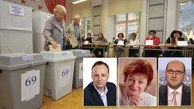 Ovlivní nějak výsledek voleb naše životy k lepšímu? Bude se na radnicích méně krást? Přední politologové se pro Blesk rozhodli situaci okomentovat.