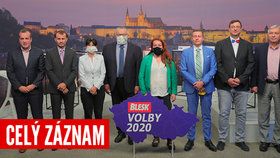 Koronavirus, návrat roušek a platy lékařů: Zdravotnická debata Blesku zmínila i strach Čechů