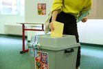 Volební účast se v Česku podle druhu voleb pohybuje od 20 do 60 procent.