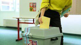 Volební účast se v Česku podle druhu voleb pohybuje od 20 do 60 procent.