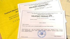 Jak a kde si zažádat o voličský průkaz pro volby do Senátu?