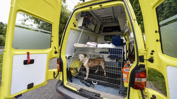 Jezdili jsme s řidičem zvířecí sanitky: Záchranka pro mazlíčky!